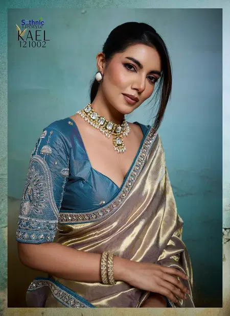 Kael By Sethnic Rare Tissue Banarasi Saree Wholesale Price In Surat